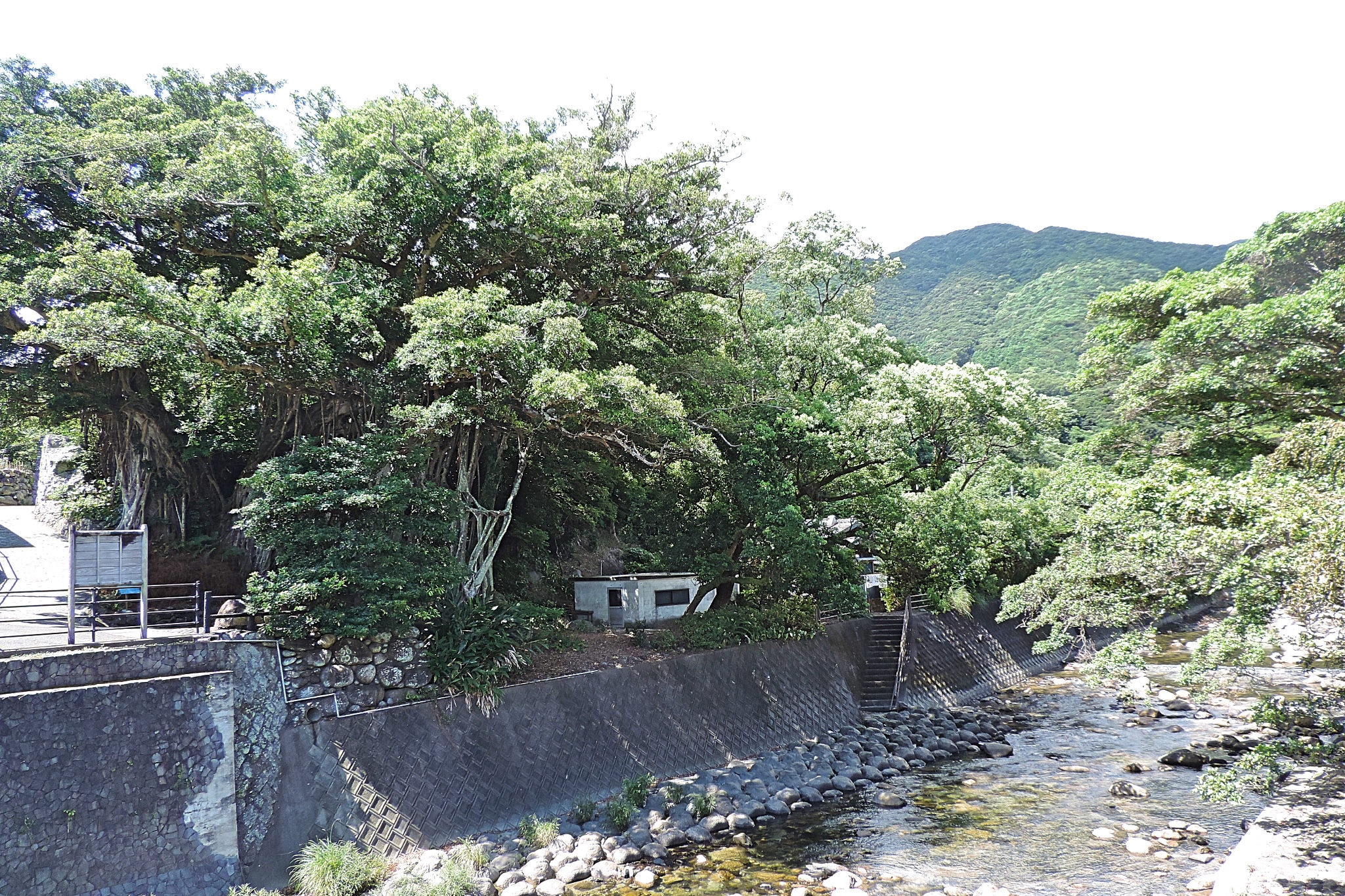 九州自助遊攻略