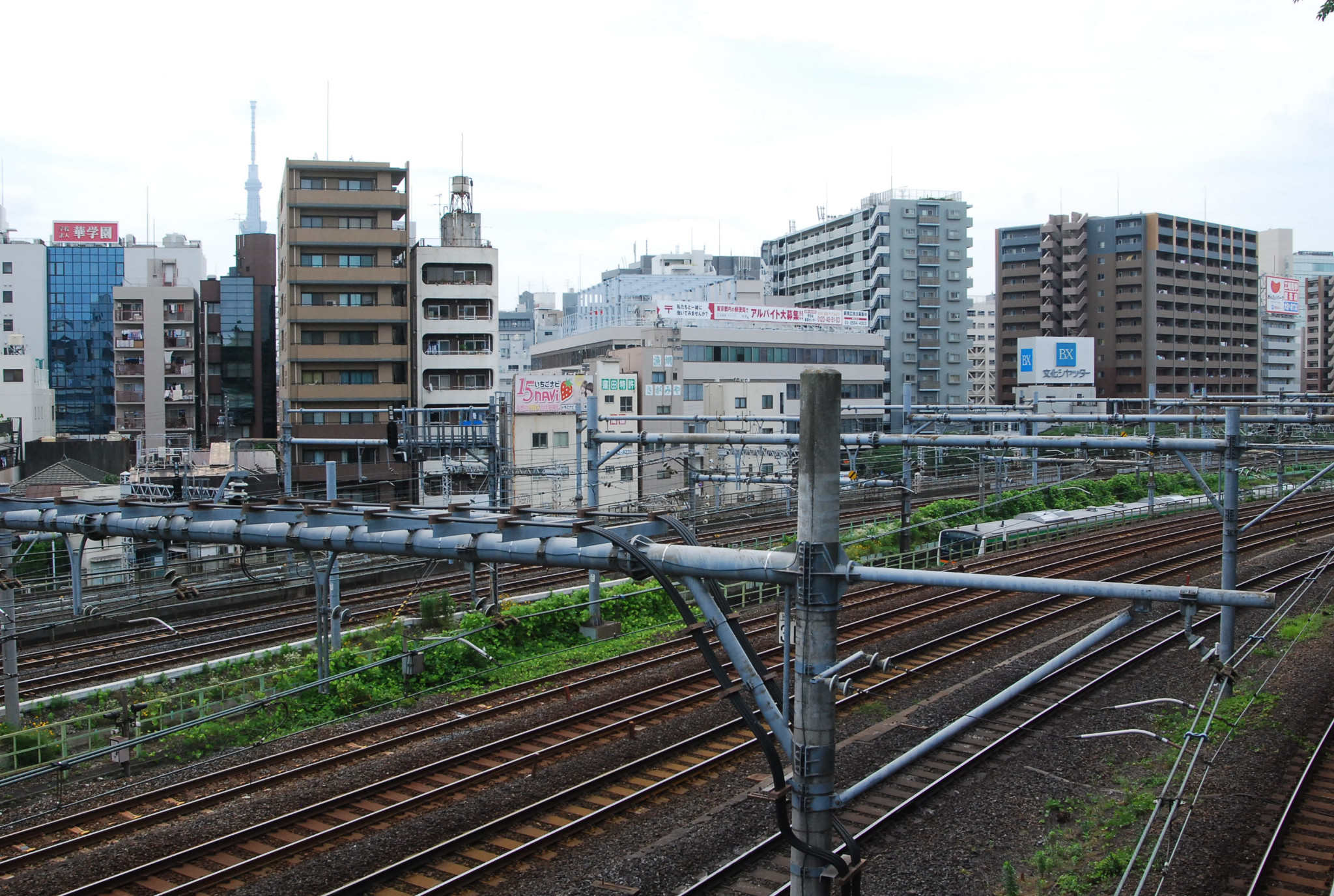 東京自助遊攻略