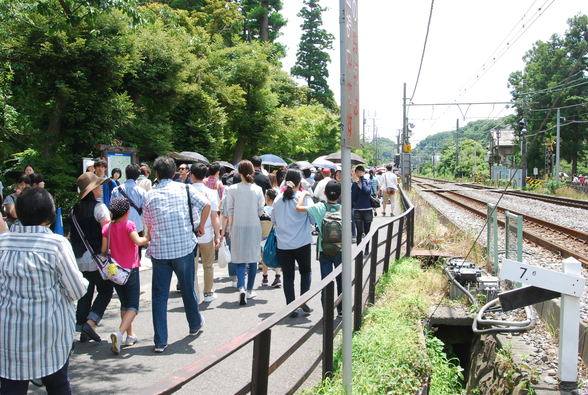 東京自助遊攻略