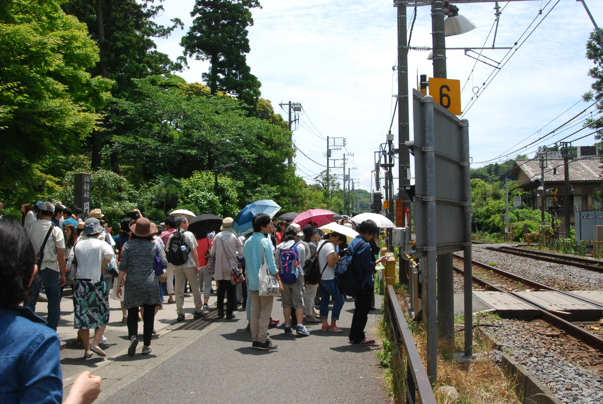 東京自助遊攻略