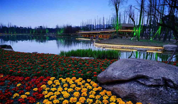 秀丽东方单人票