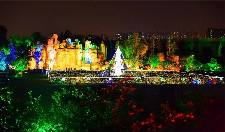 秀丽东方单人票