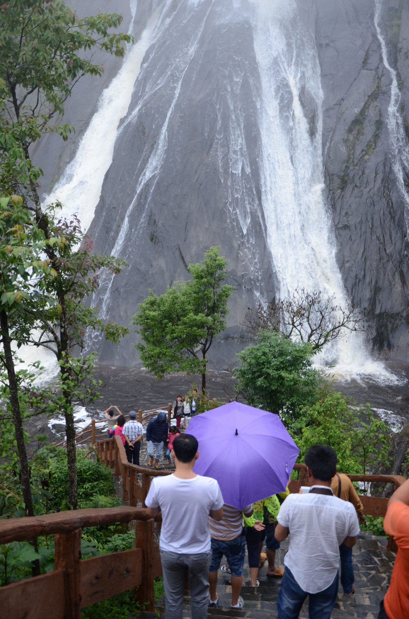 中国红河蝴蝶谷金平马鞍底平河大草原露营记