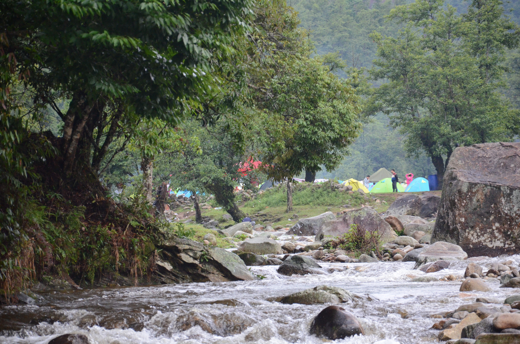 中国红河蝴蝶谷金平马鞍底平河大草原露营记