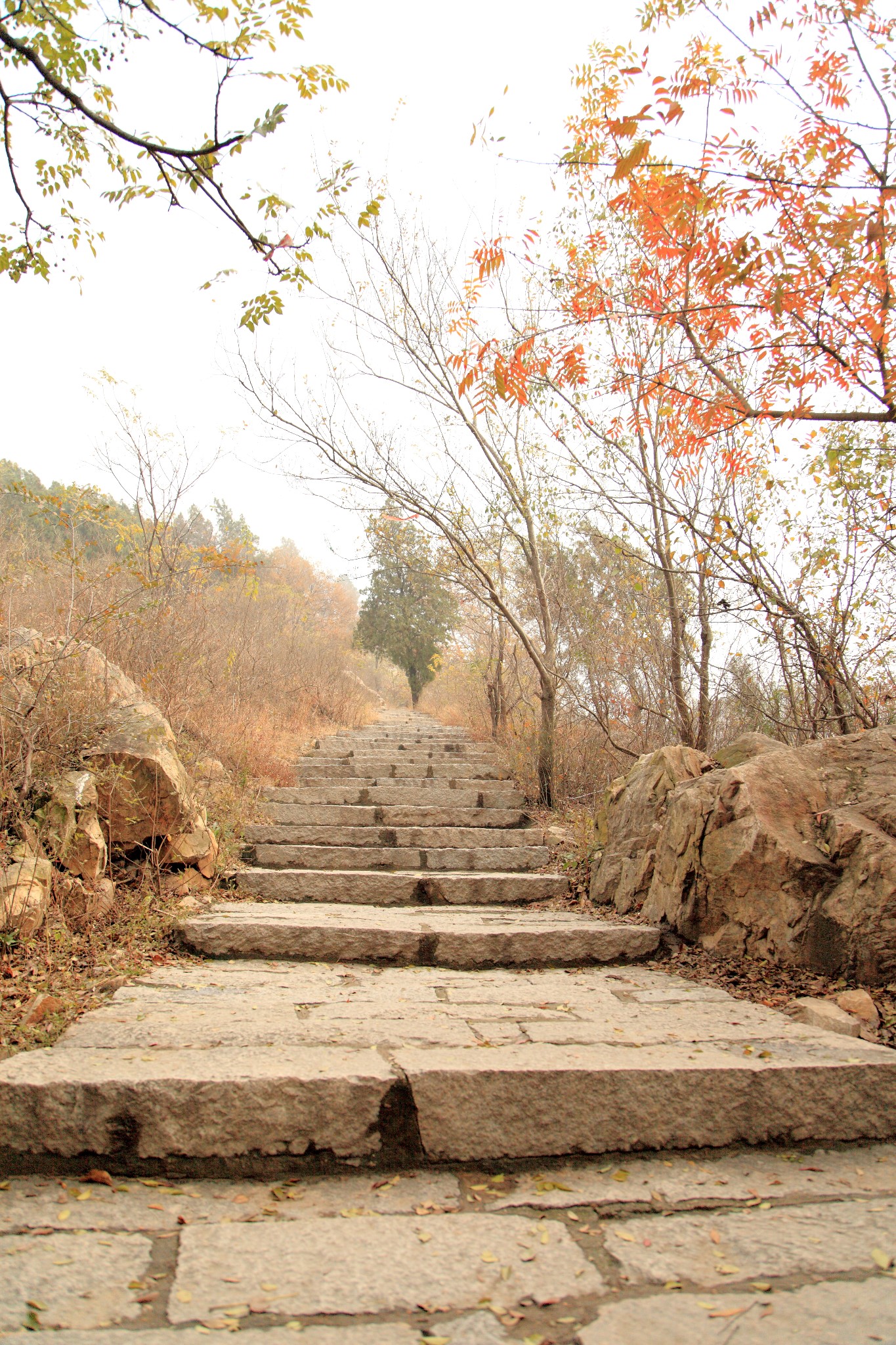蚌埠荆涂山,在禹王宫赏寂静秋天