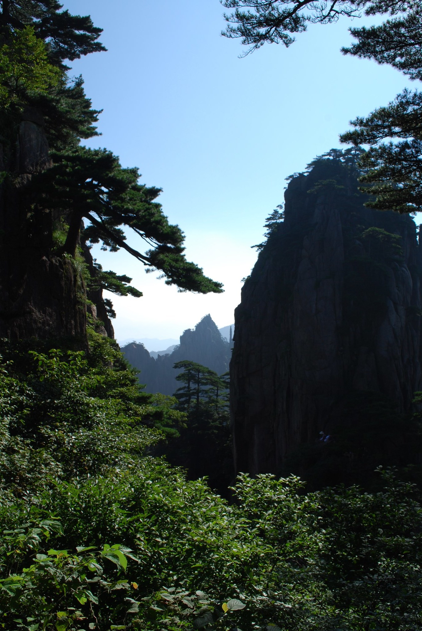 重回黃山(上):雲谷寺纜車→北海→觀石亭→光明頂→群峰頂→飛來石