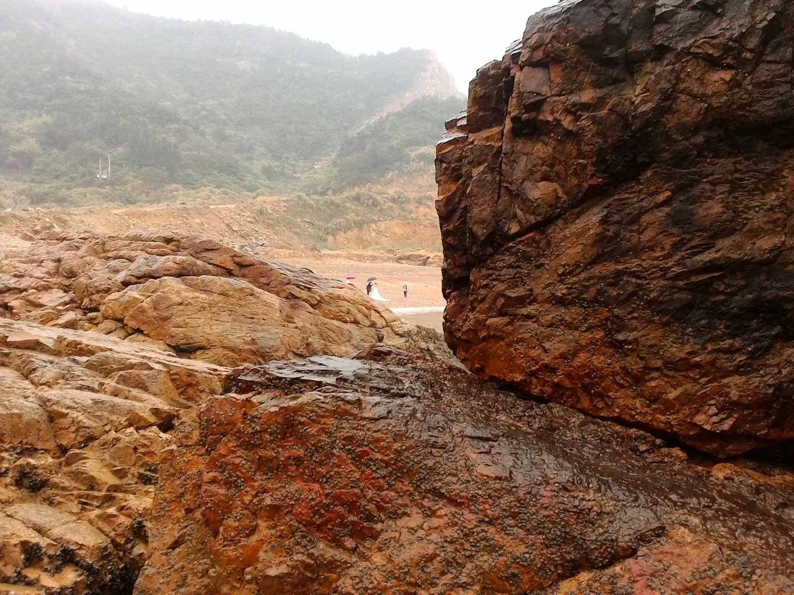 某渔村的海边温州74洞头74沙角村