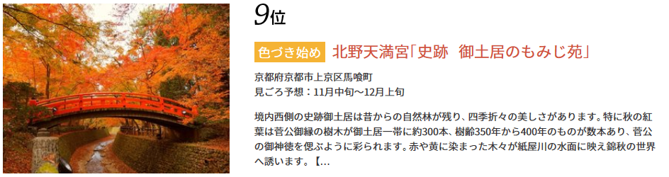 京都的红叶季什么时候开始 中旬到的话可以看到了吗 马蜂窝