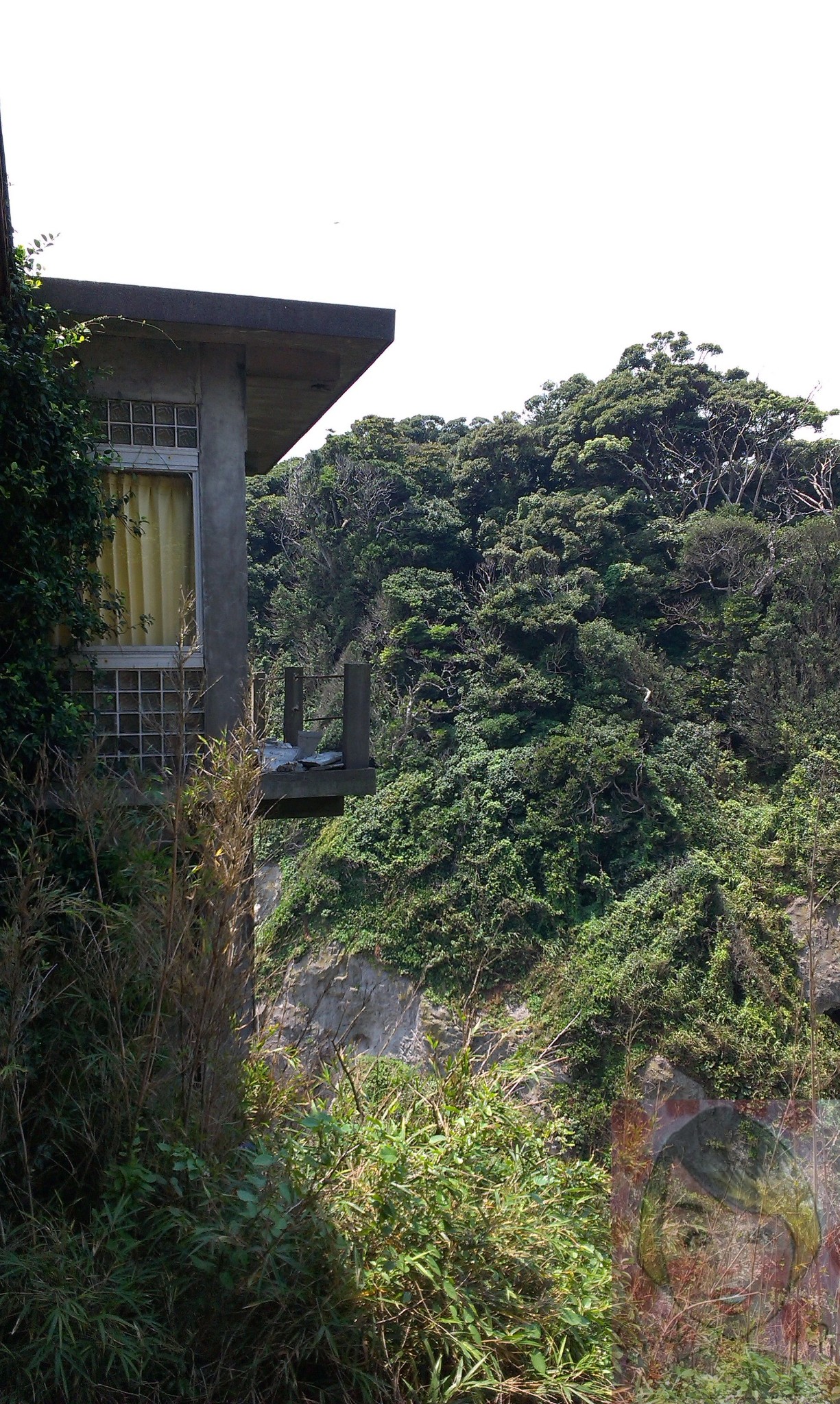 日本 神奈川县 藤泽市 江ノ島 江之岛一日游