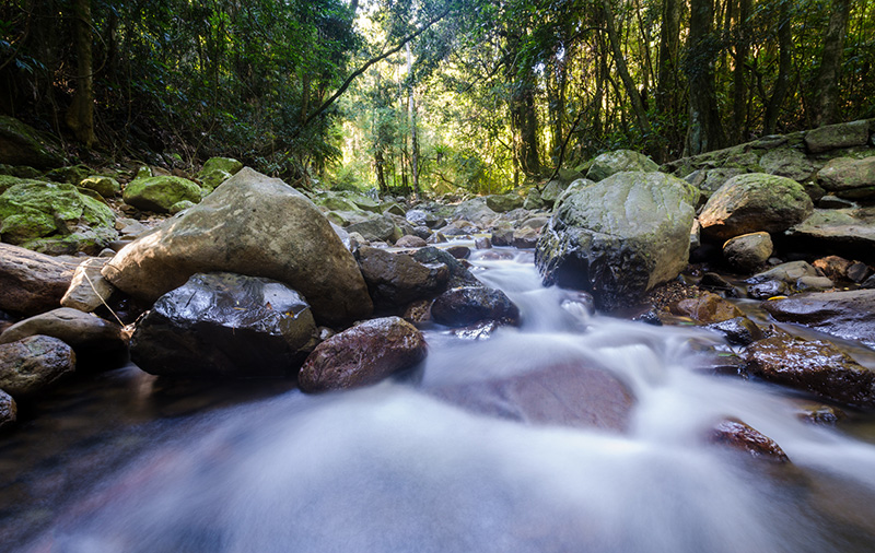 黄金海岸春溪国家公园一日游