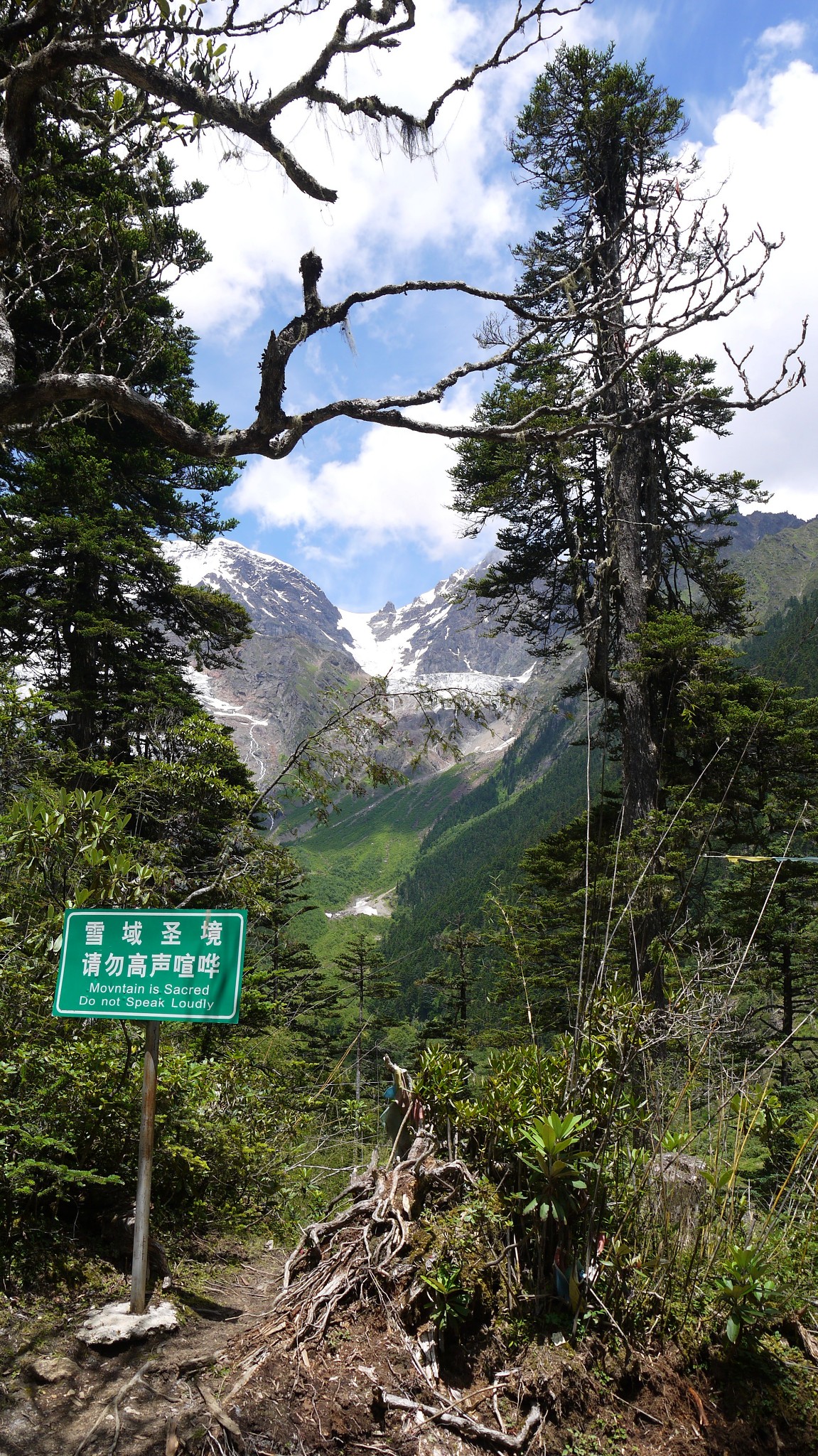 雨崩自助遊攻略