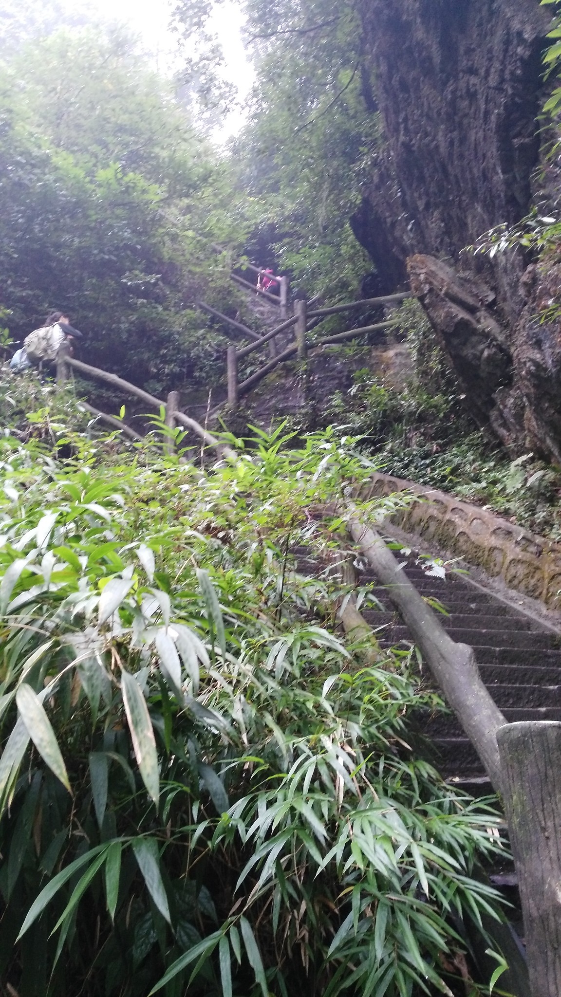 峨眉山九十九道拐