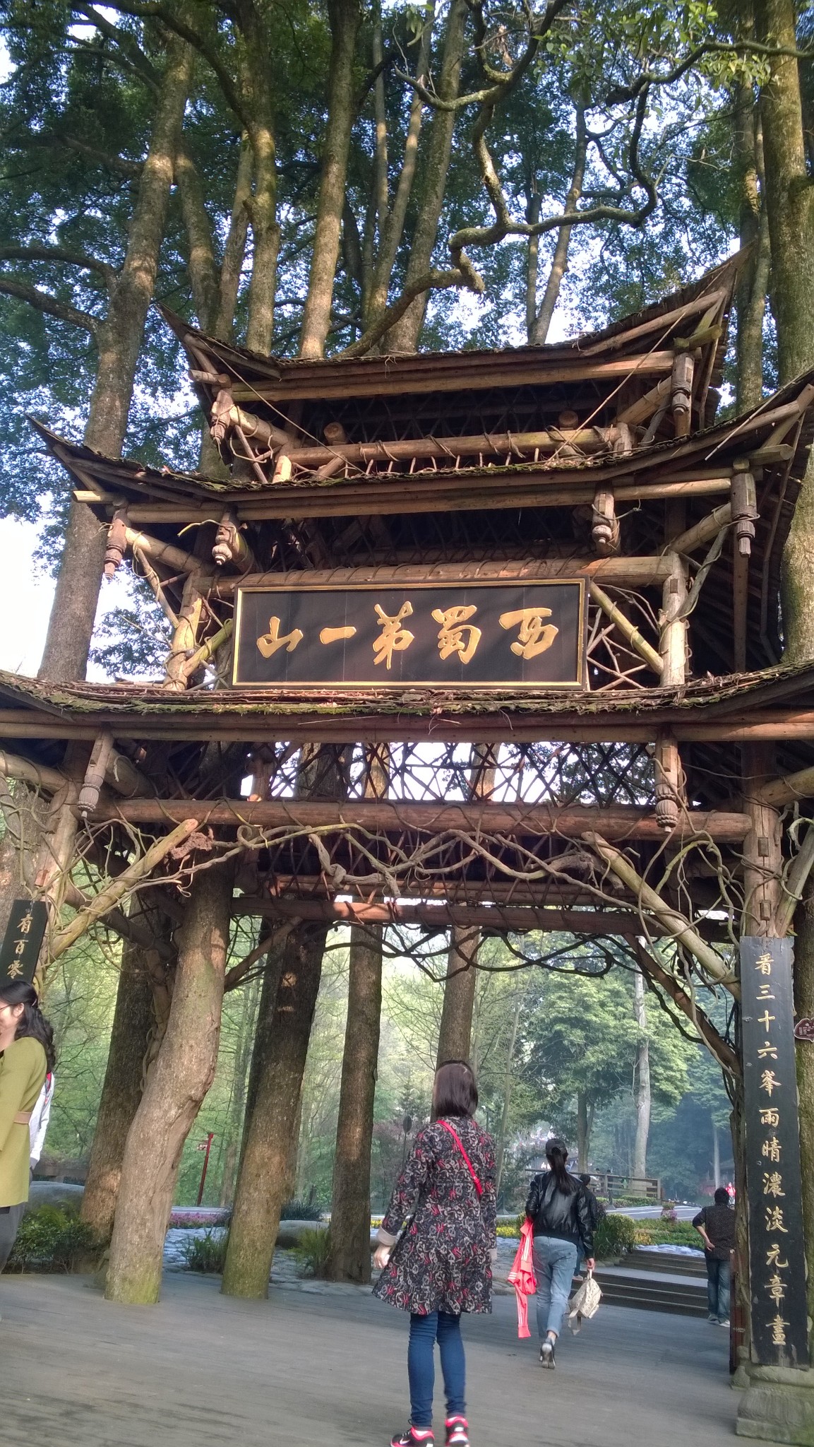 孤獨旅遊一青城山前山續