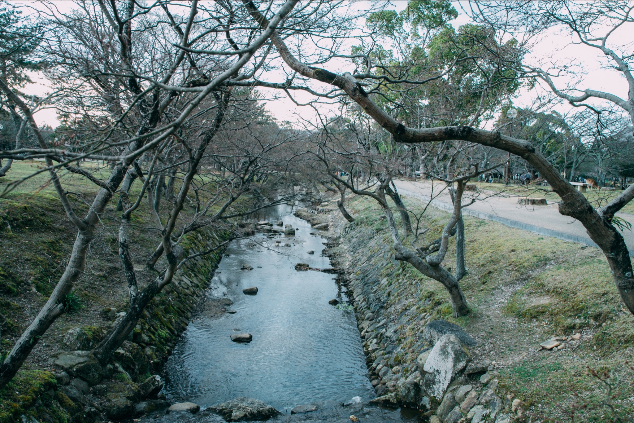 京都自助遊攻略