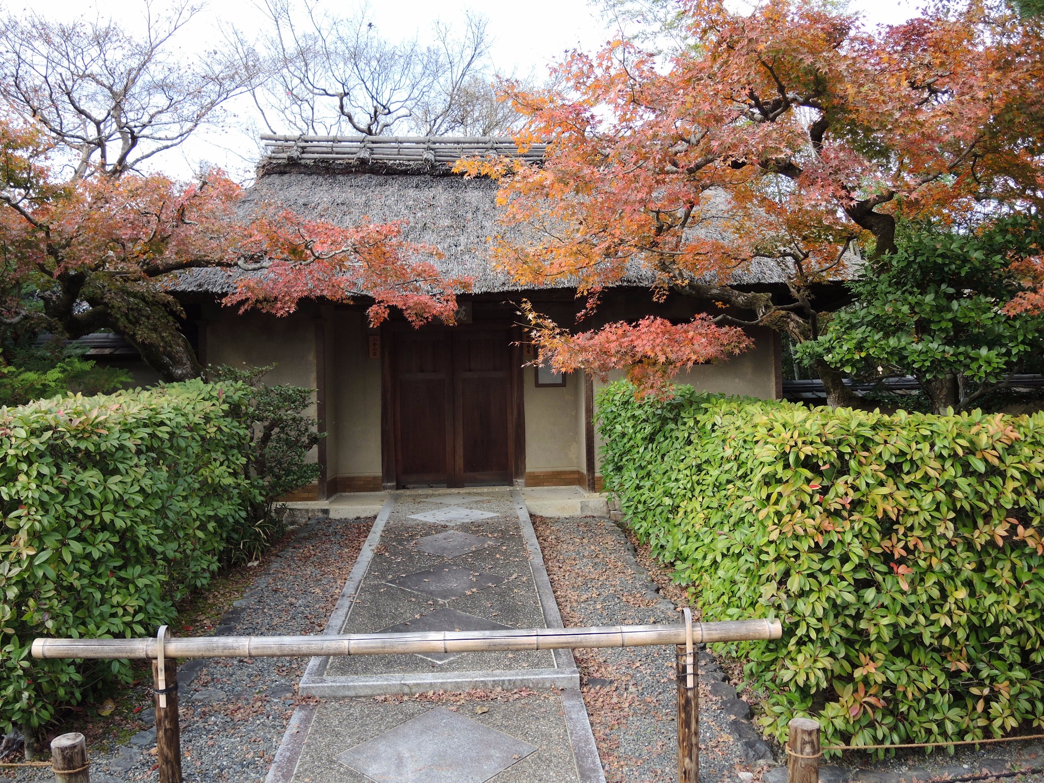 京都自助遊攻略