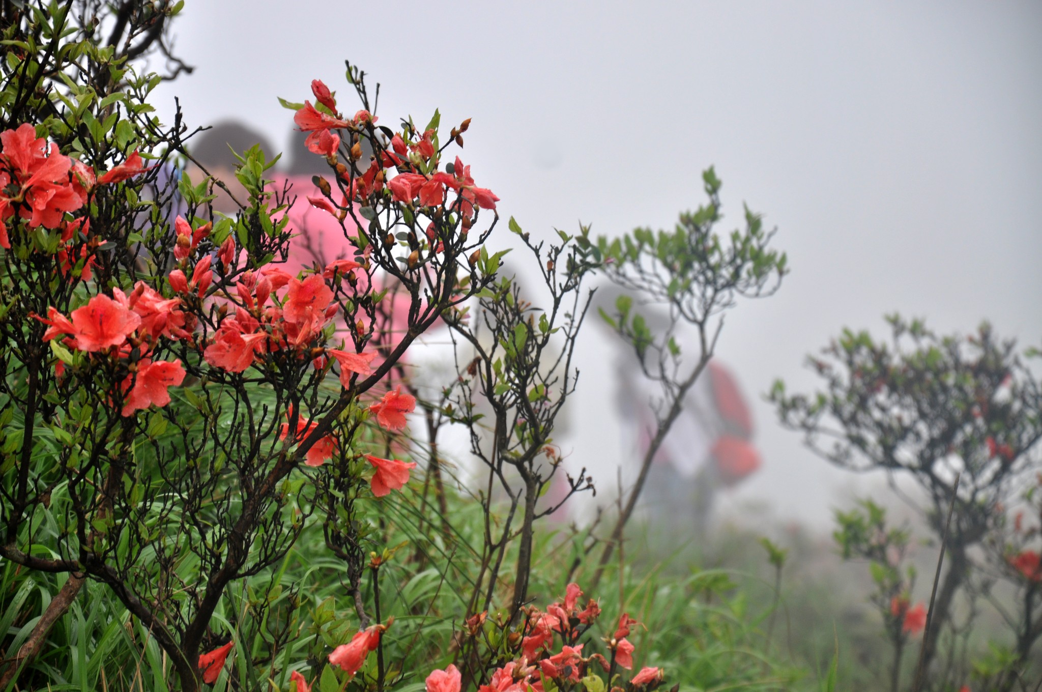 韶关枫湾黎壁石风雨同行