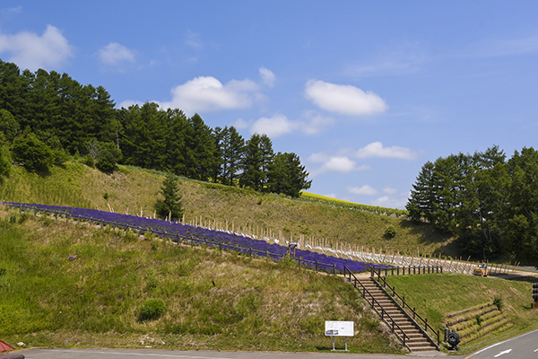 北海道自助遊攻略