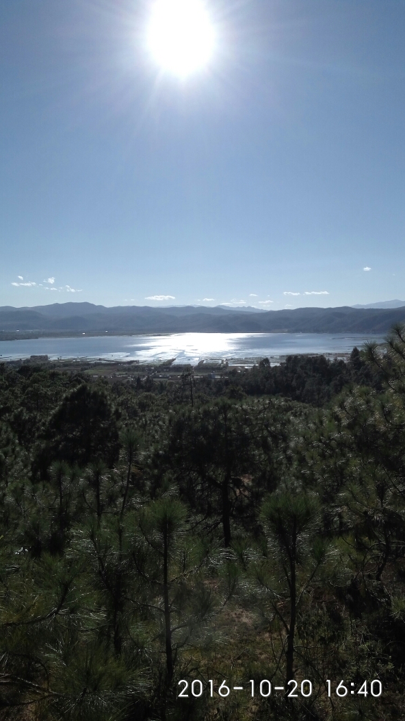 拉市海纳西古马场