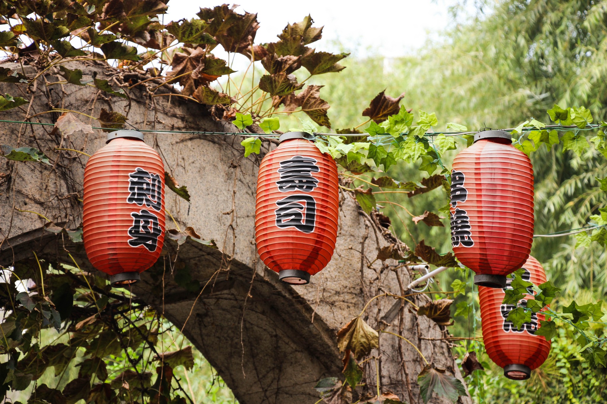 山東自助遊攻略