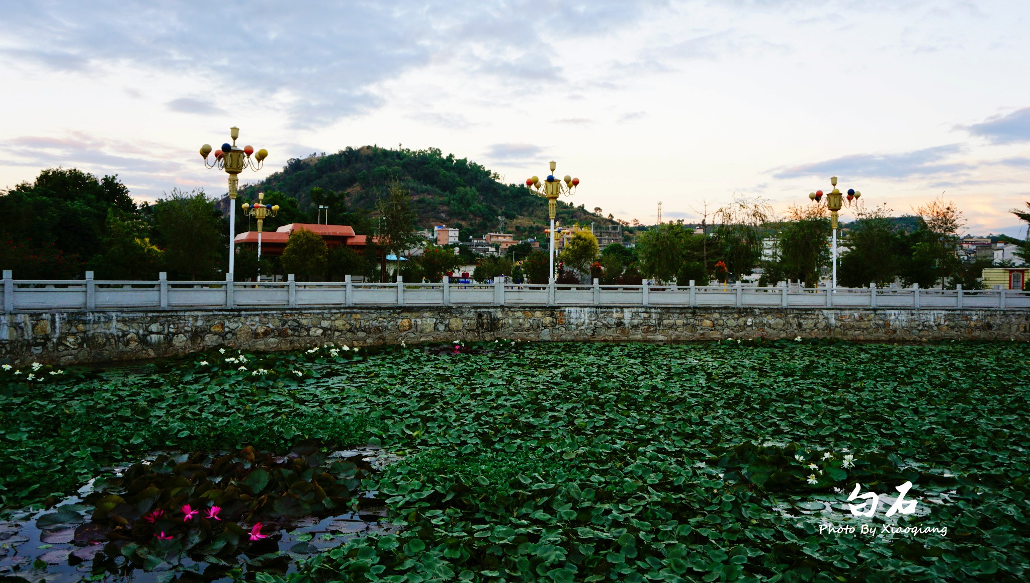 新亨白石村,带你感受家乡不一样的美,揭阳自助游攻略 - 马蜂窝