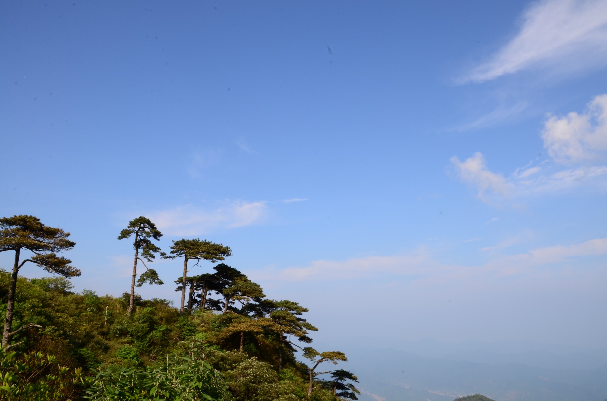 三清山自助遊攻略