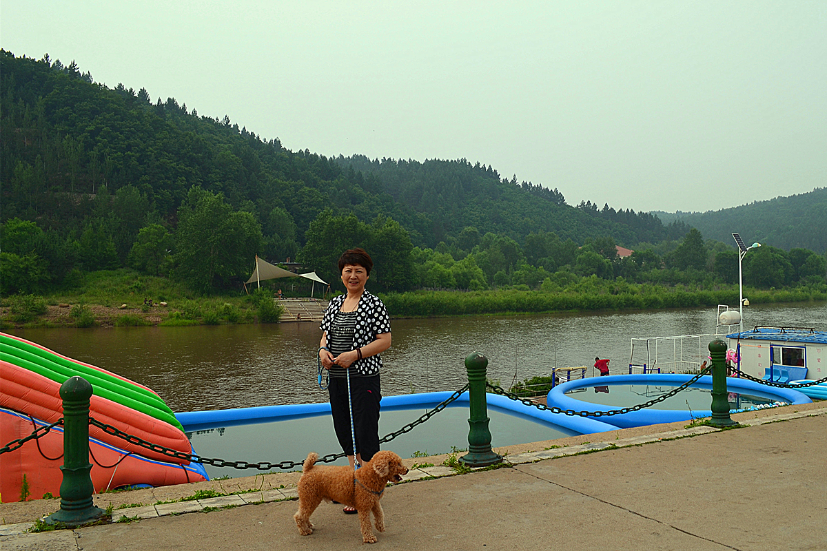 带着你去旅行——安迪,我们永远想念你,鹤岗自助游攻略 - 马蜂窝