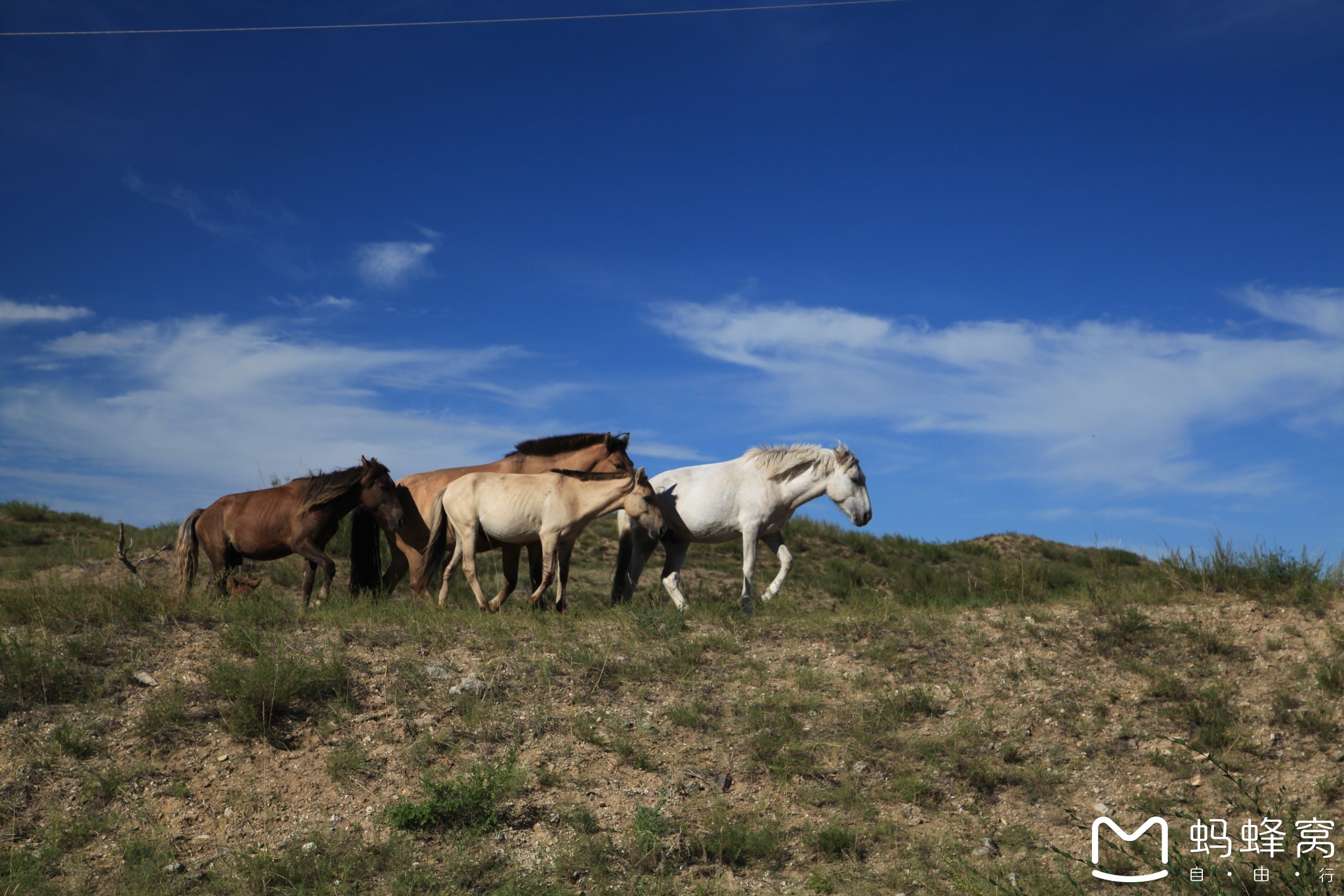 2016年8月内蒙东乌珠穆沁旗和西乌珠穆沁旗三日自驾游