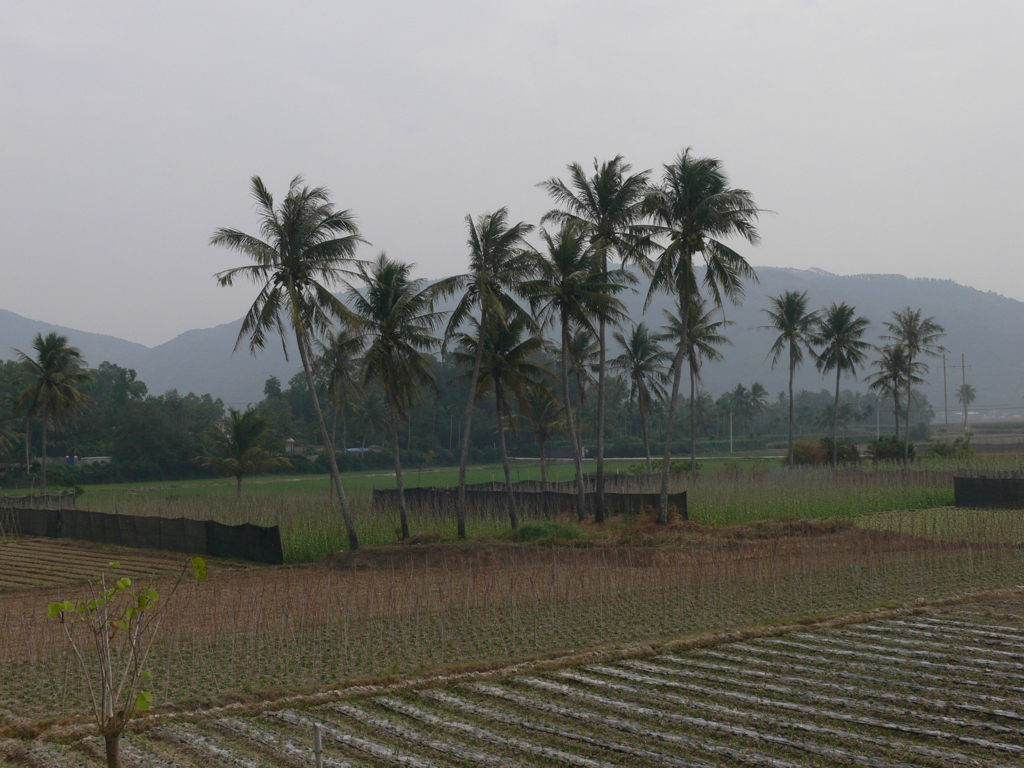 骑行万宁文昌烟墩圩海口返长春