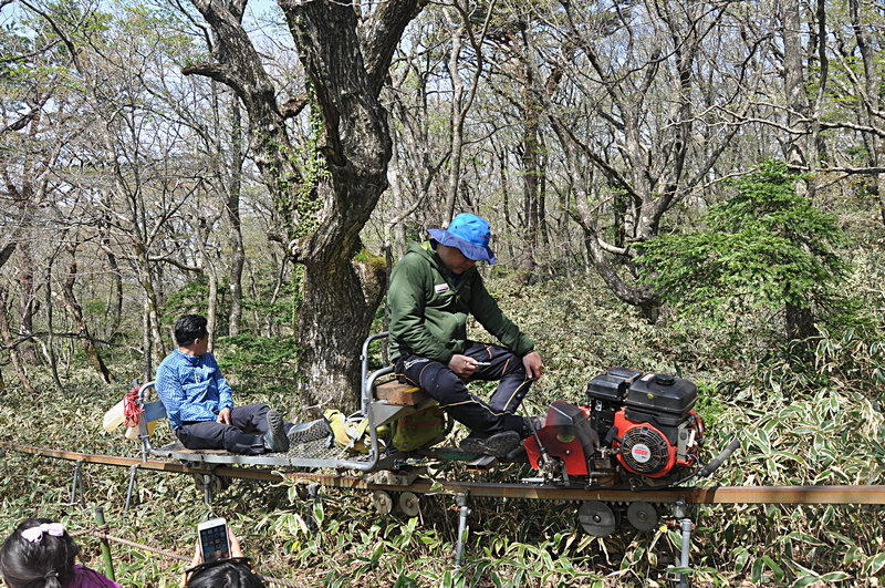 濟州島自助遊攻略