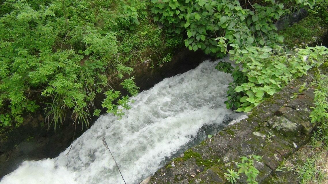 富川碧溪湖图片