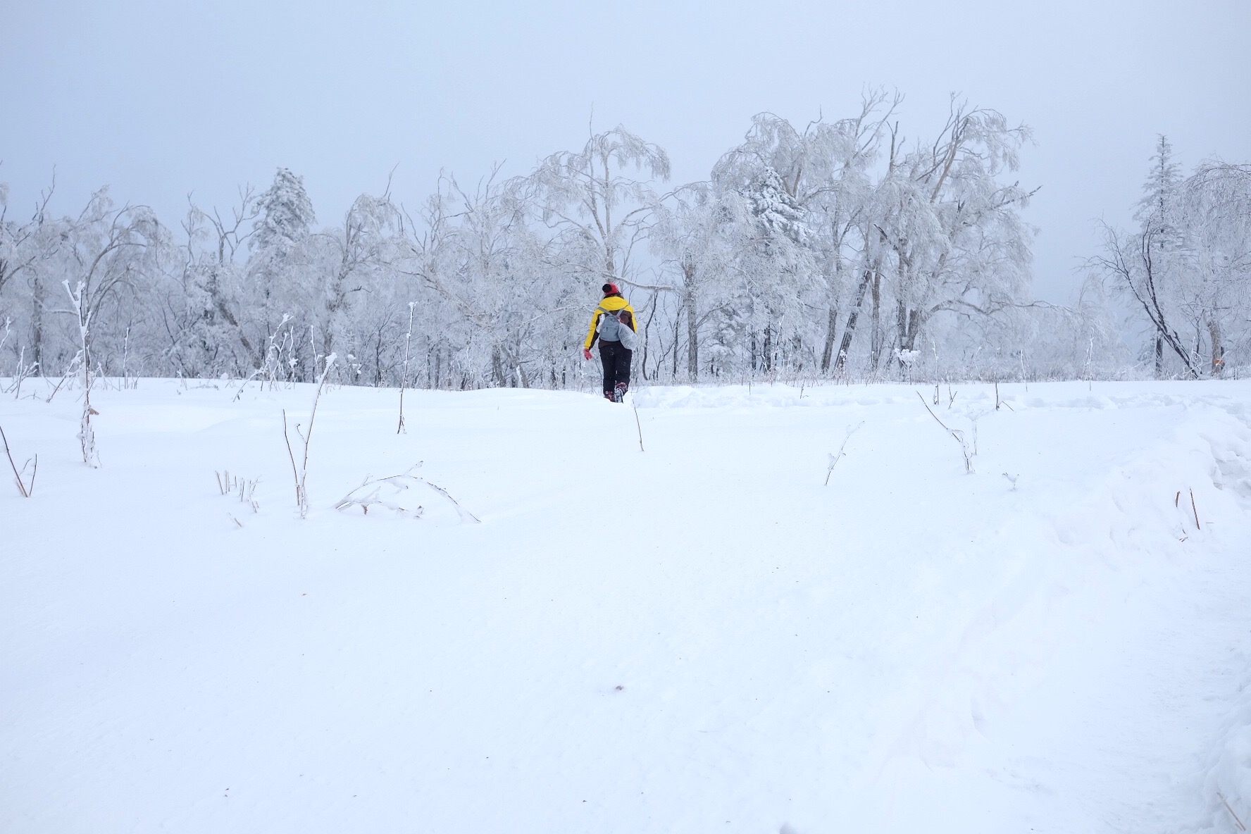 雪鄉自助遊攻略