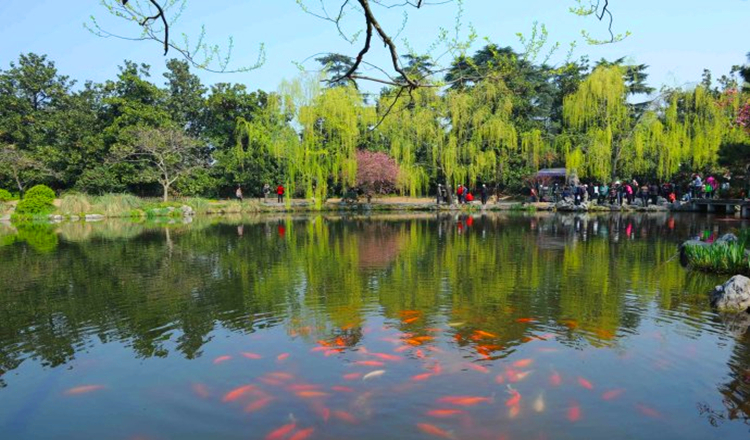 杭州西湖纯玩一日游登雷峰塔眺望西湖美景览花港观鱼观西湖游览千年