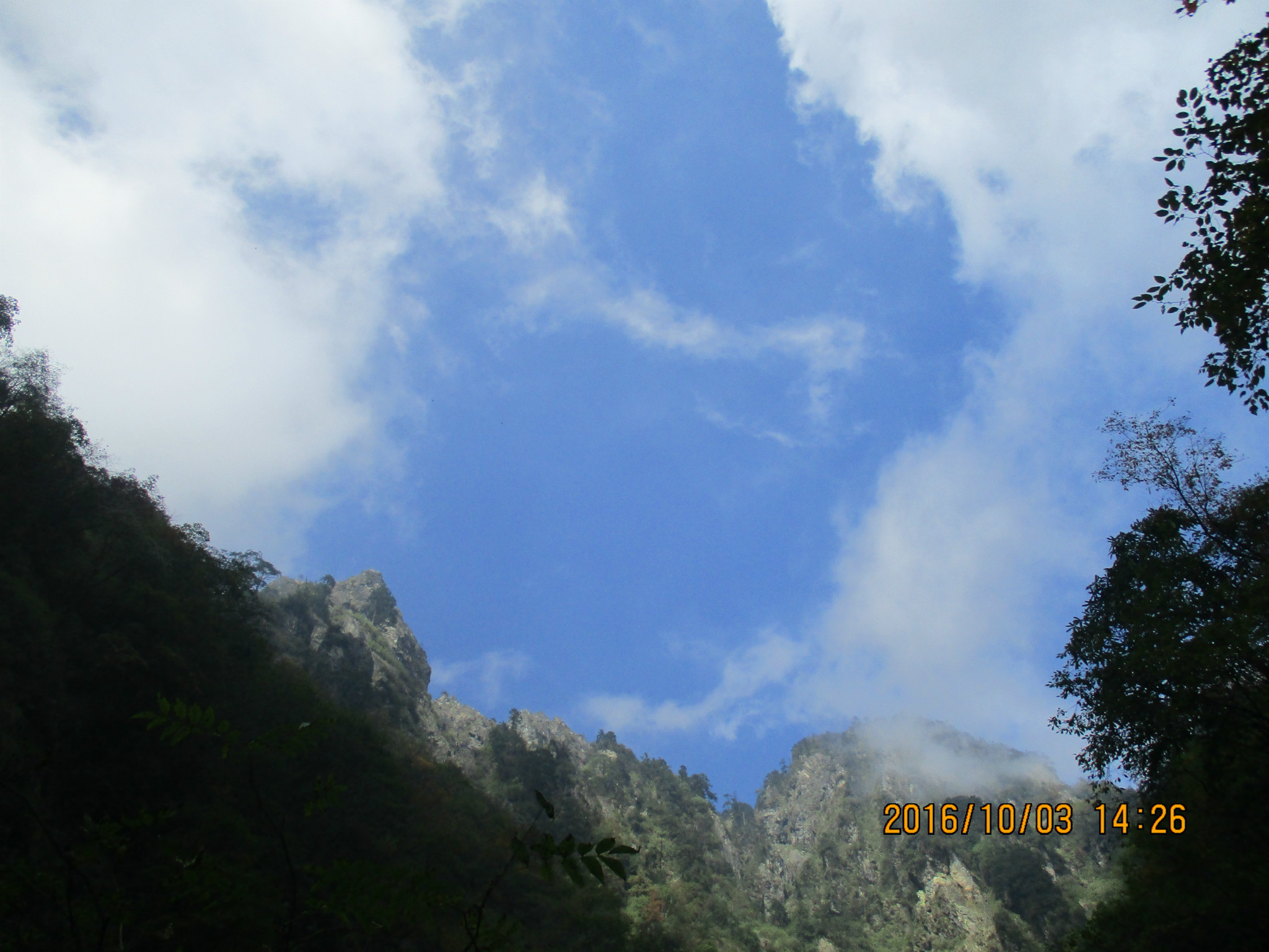wKgBs1gN_8SAWd2XAAlV-q2uTNU37.jpeg?imageView2%2F2%2Fw%2F680%2Fq%2F90%7CimageMogr2%2Fstrip%2Fquality%2F90