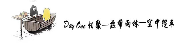 Day One 相聚—热带雨林—空中缆车 Day One 相聚—热带雨林—空中缆车