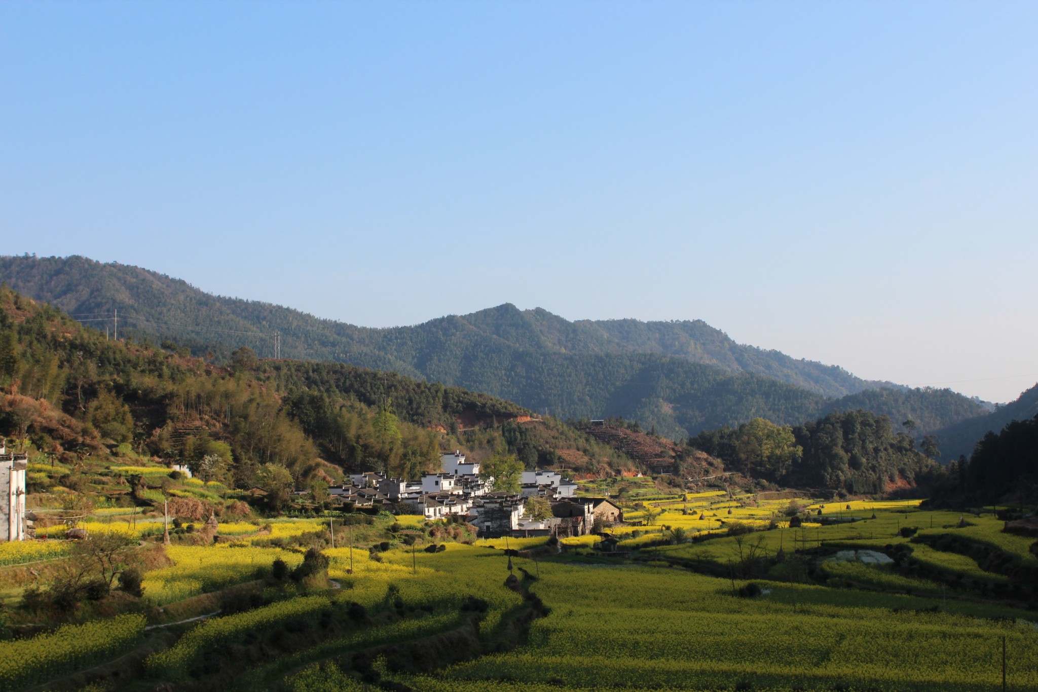 游记小赛白墙黛瓦错落在油菜花的梯田婺源东线三日游四日三晚