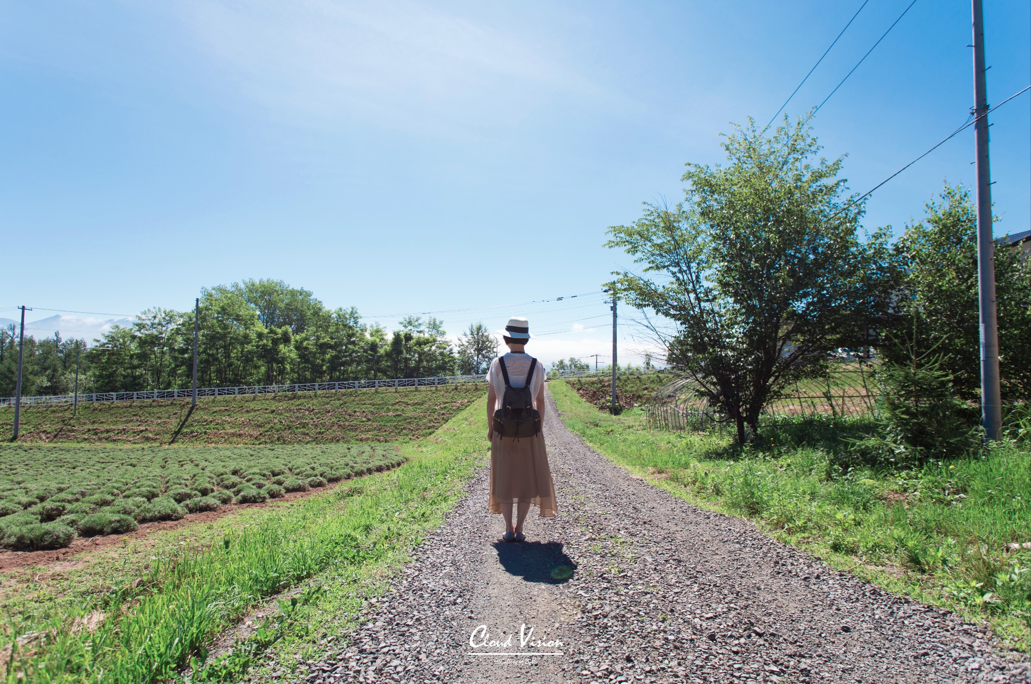 北海道自助遊攻略