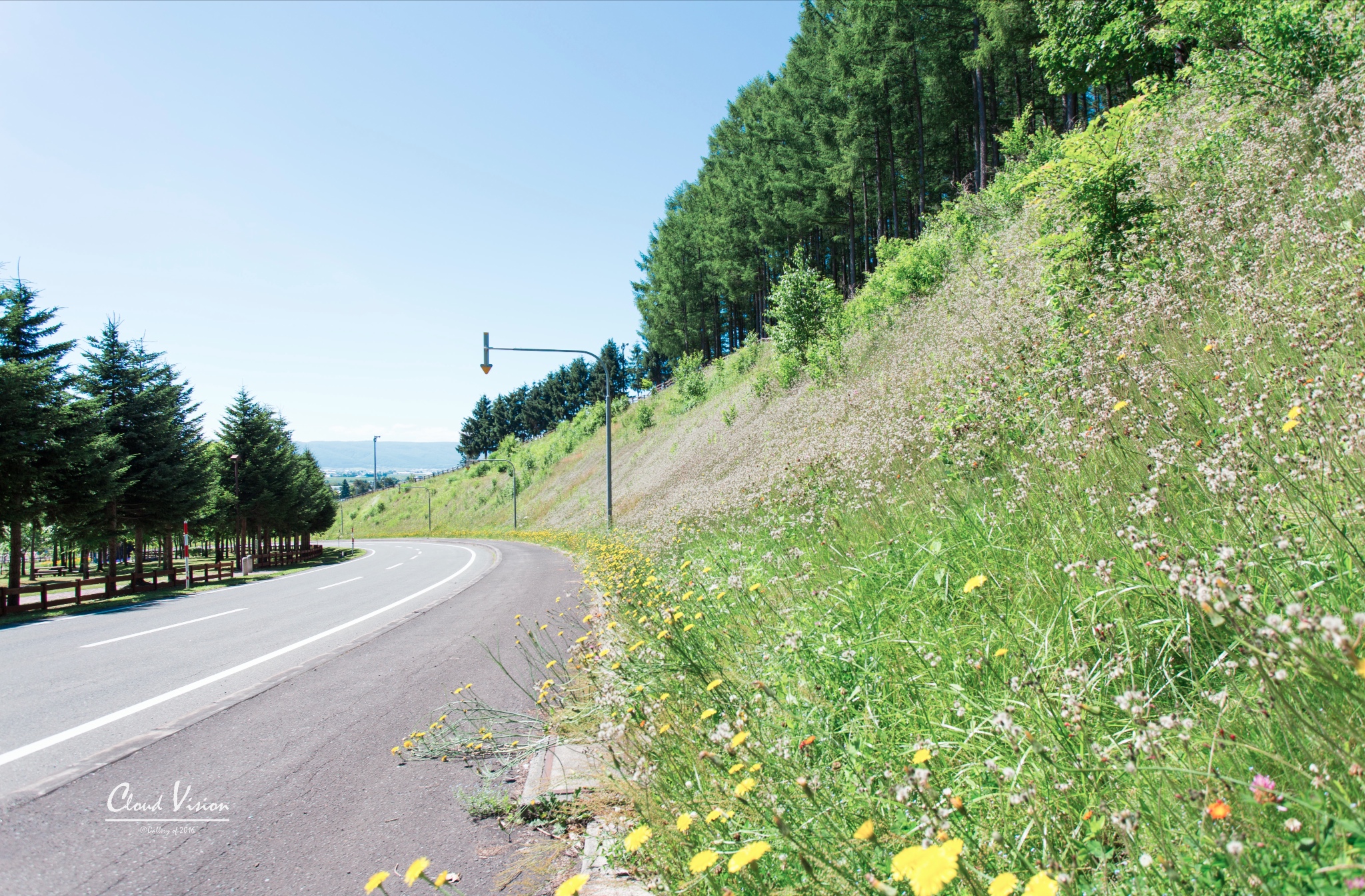 北海道自助遊攻略