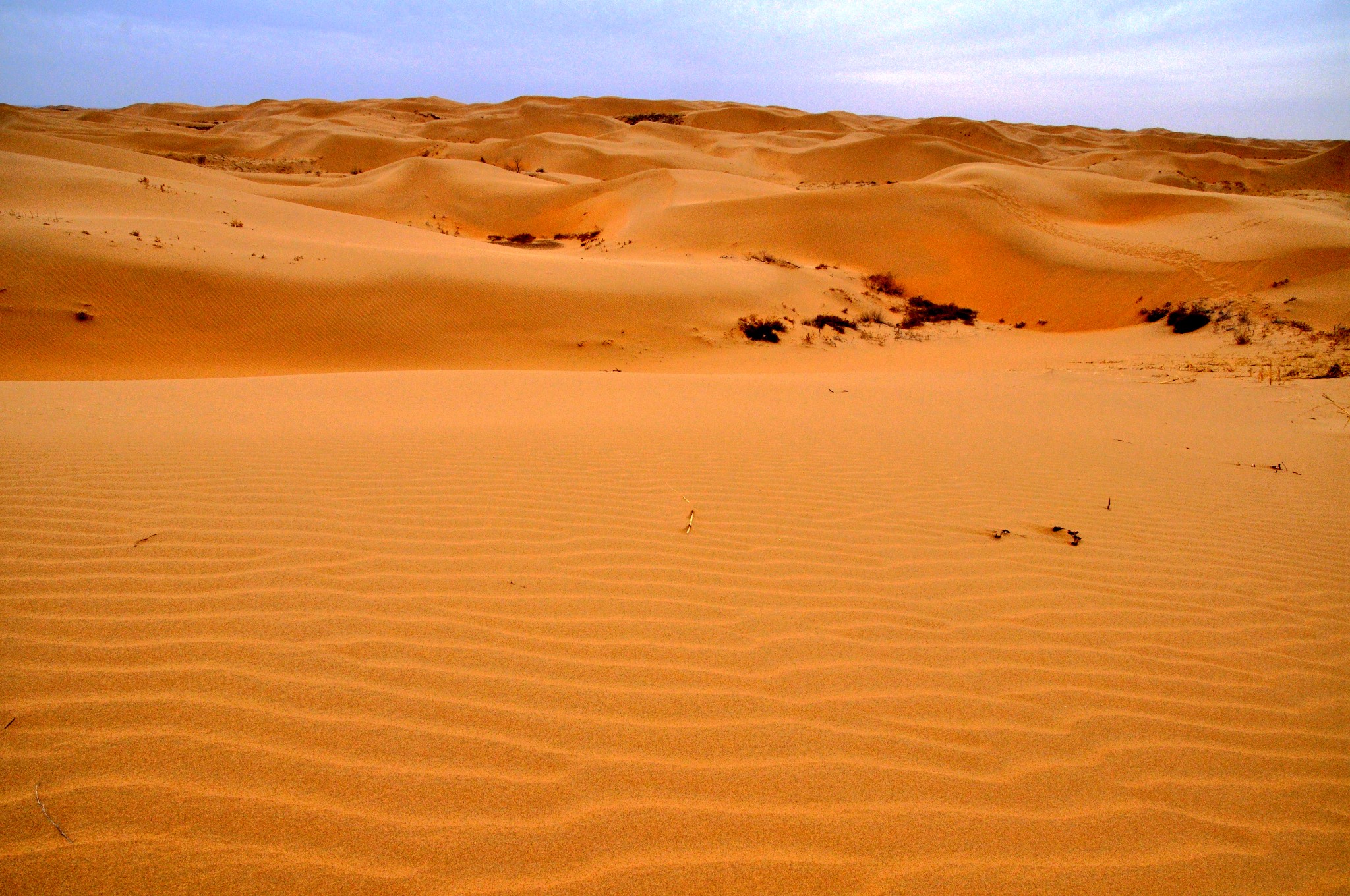 大漠孤烟行走中国第七大沙漠库布齐