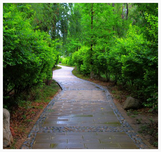 十七,云南下关洱海月湿地公园