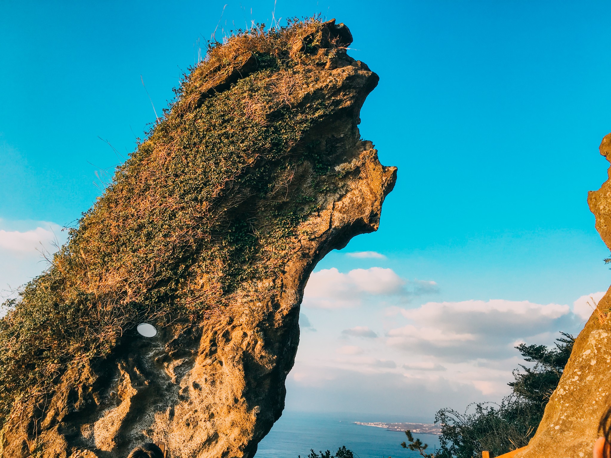 濟州島自助遊攻略