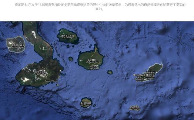 加拉帕戈斯群島自助遊攻略