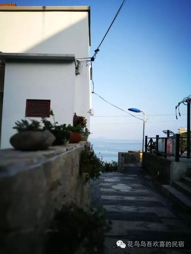花鸟岛花鸟村