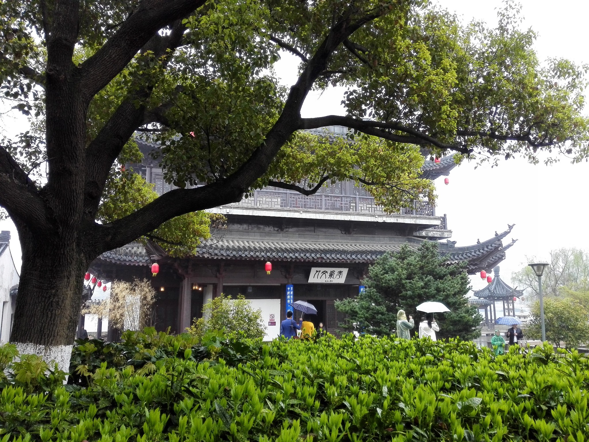 金山景區金山景區金山景區金山景區金山景區金山景區第二天,遊金山