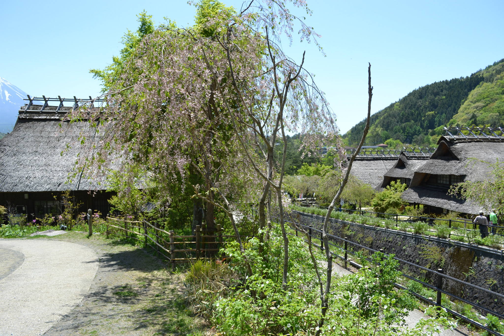 富士山自助遊攻略