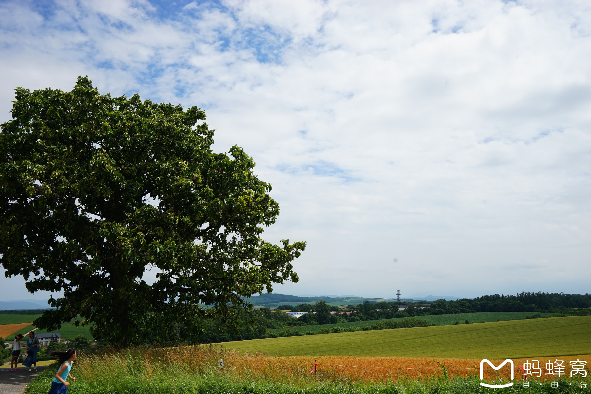 北海道自助遊攻略