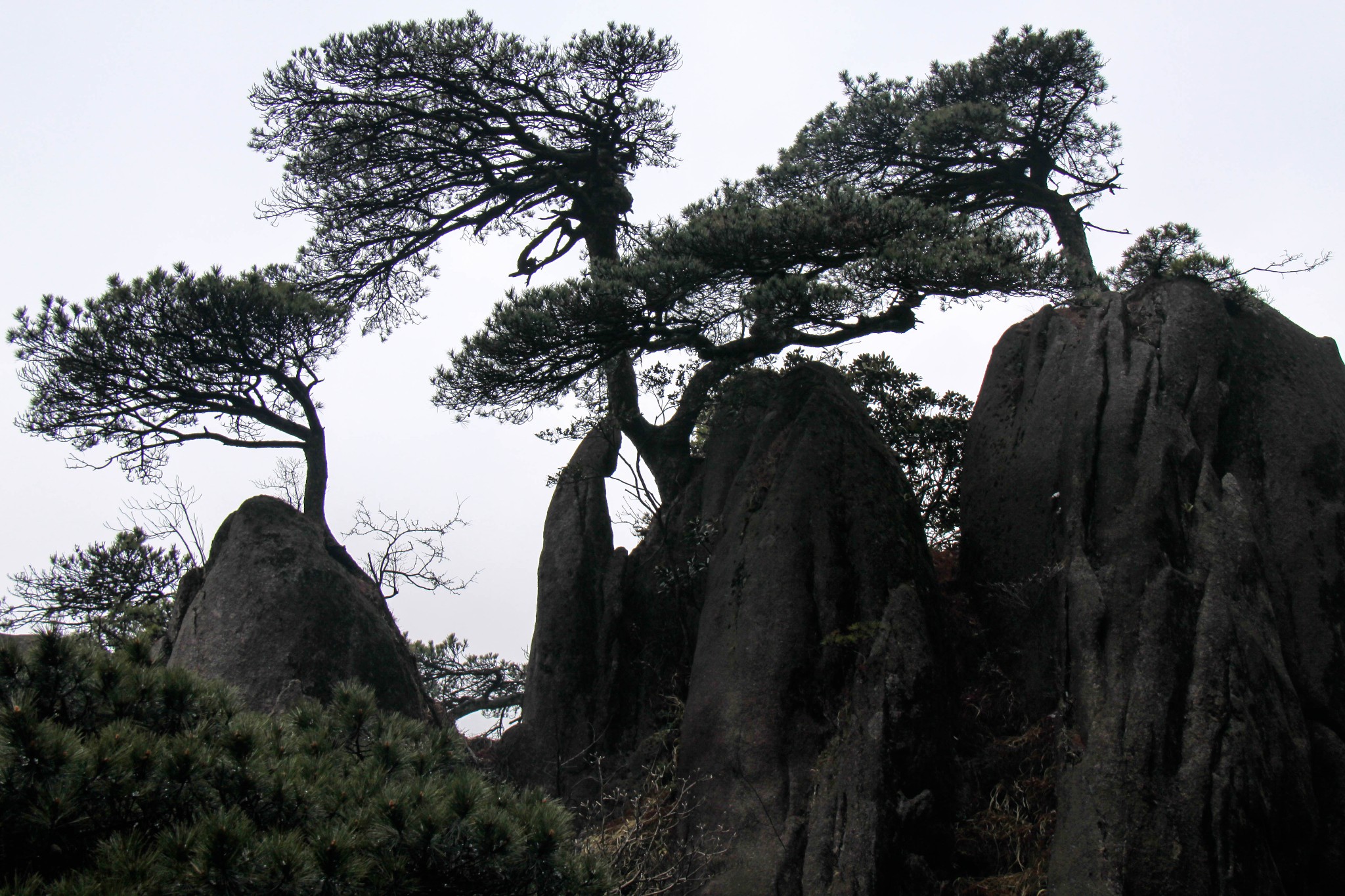 三清山自助遊攻略