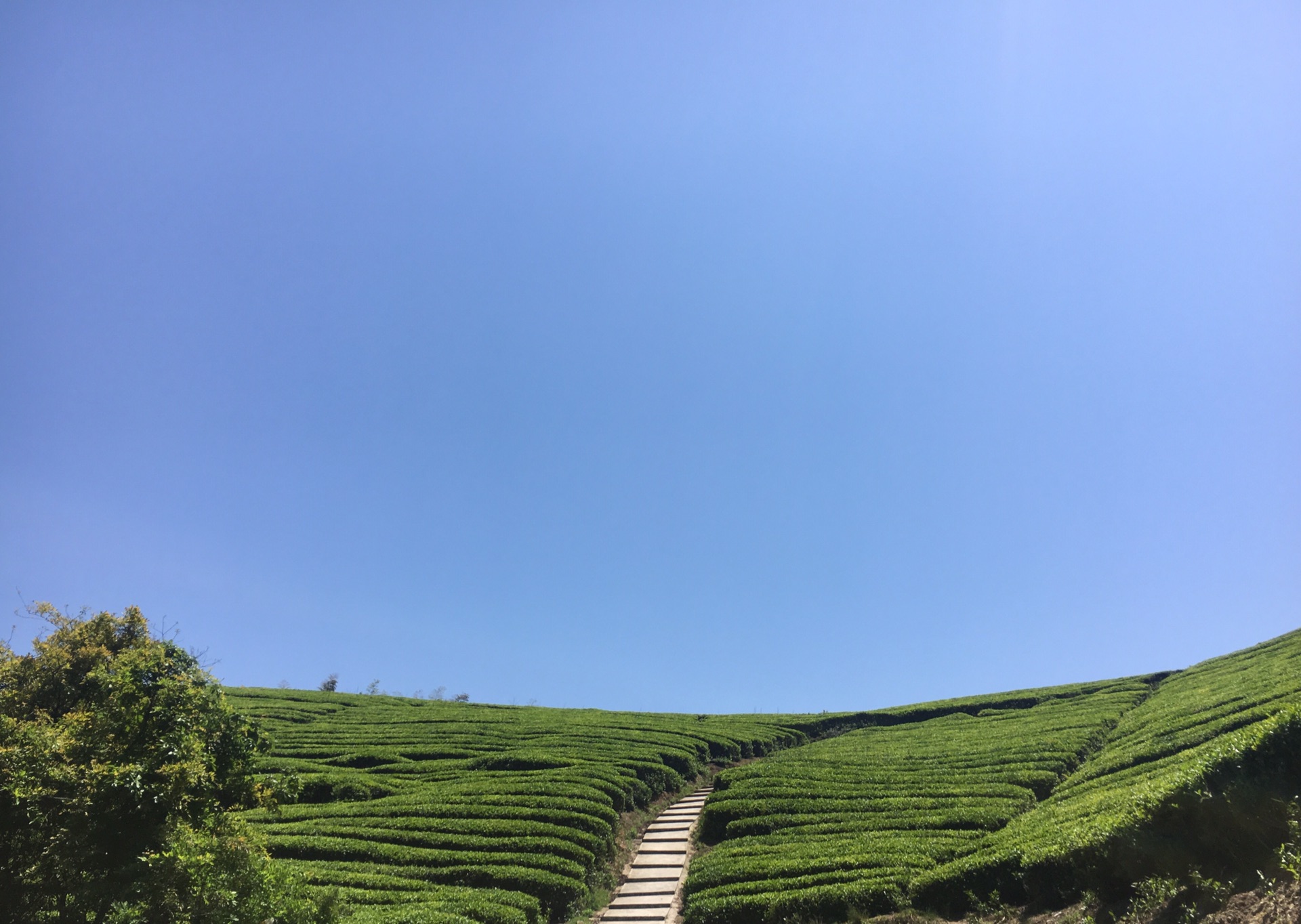 宁波徒步之金峨山一日游登顶金峨主峰
