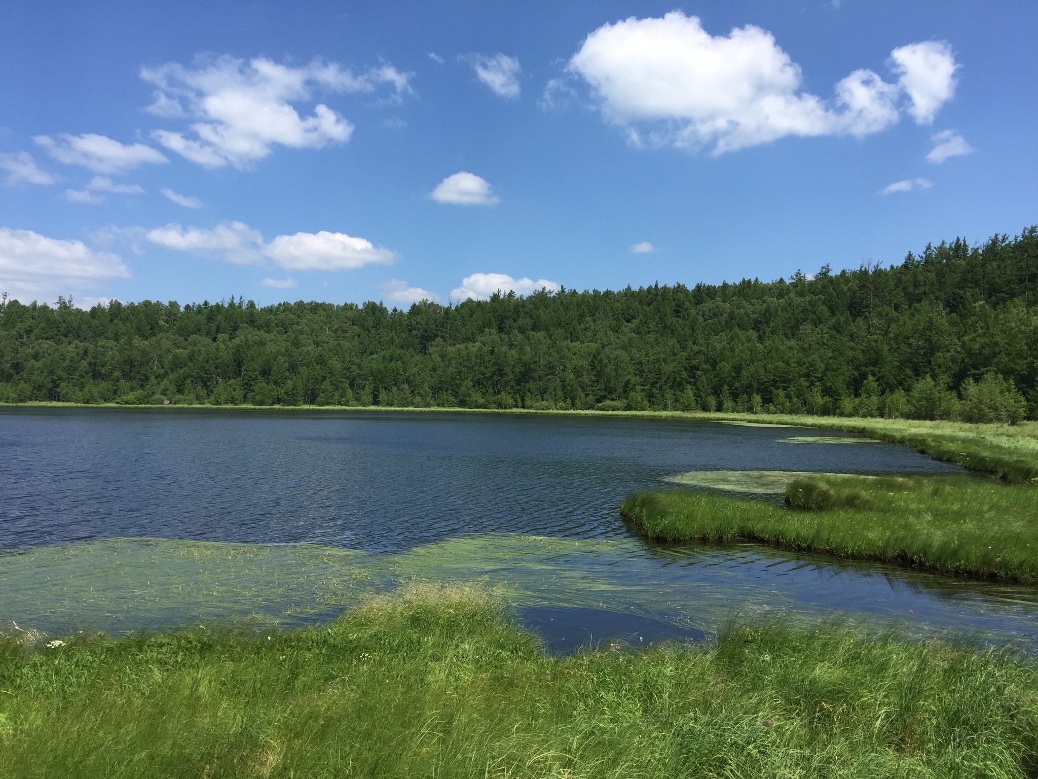 2016年旅游记录,阿尔山自助游攻略 - 马蜂窝