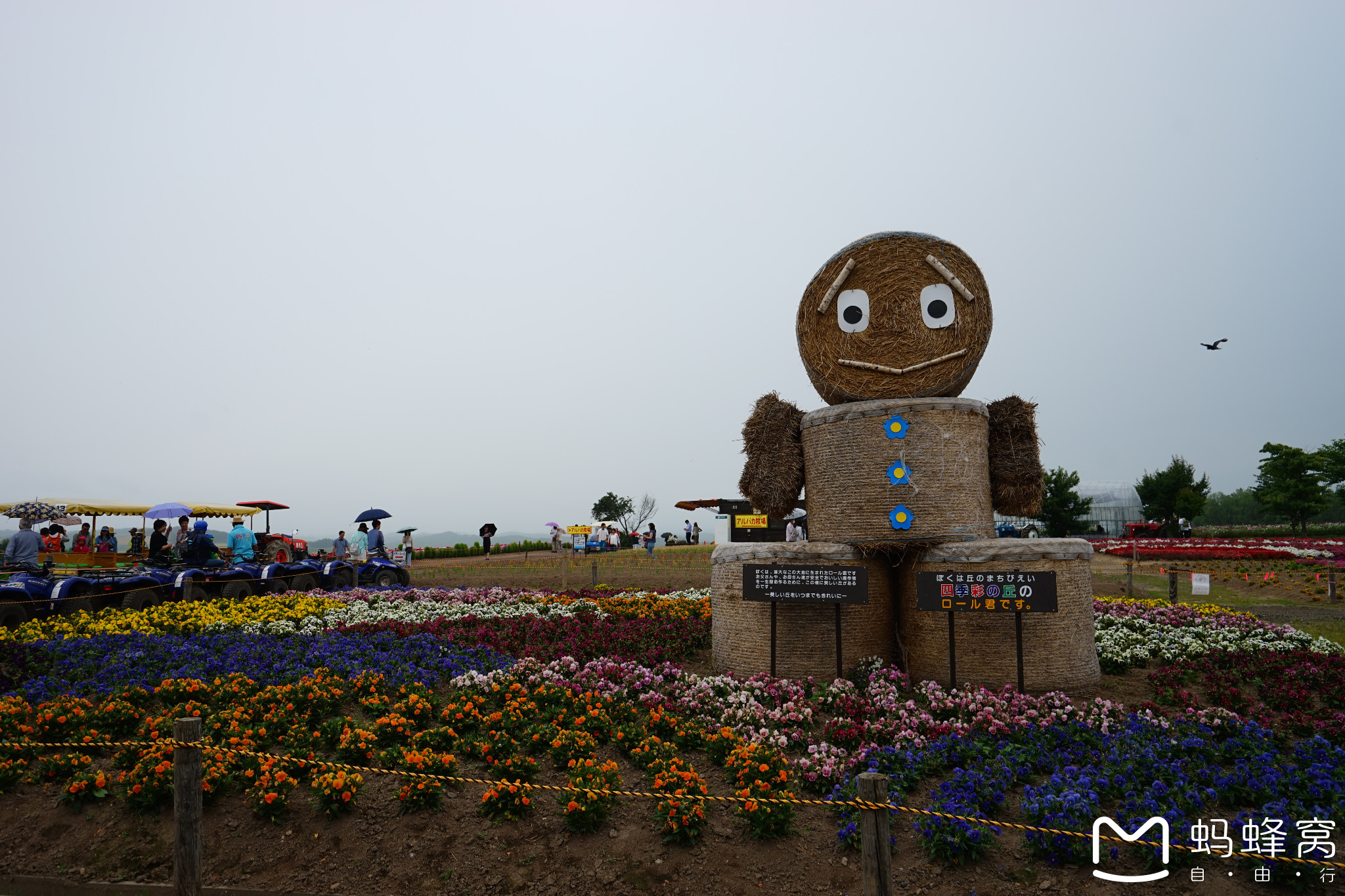 北海道自助遊攻略