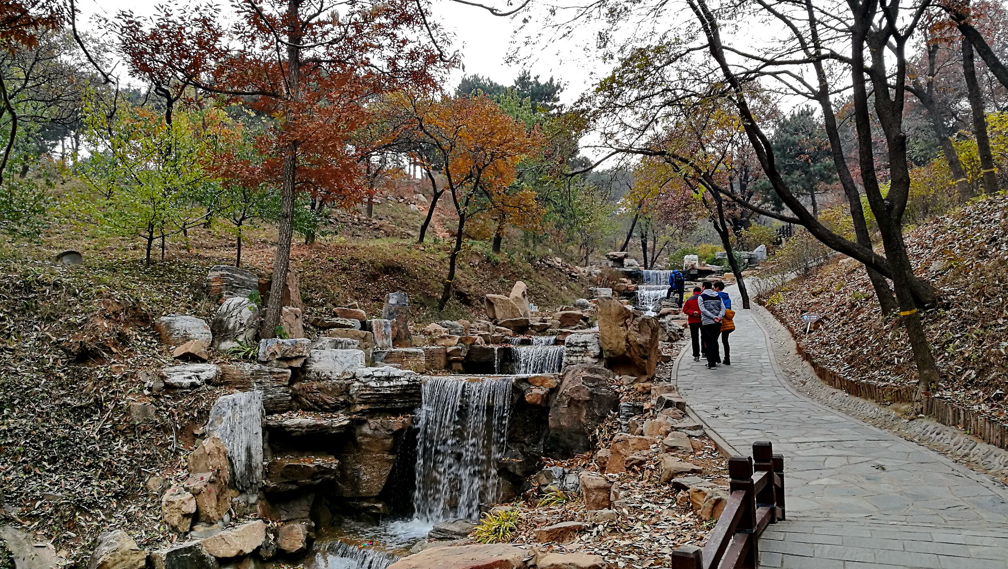 北京秋色:西山森林公園